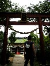 適当写真・連れ