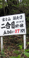 狩休