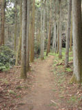 熊野神社への道