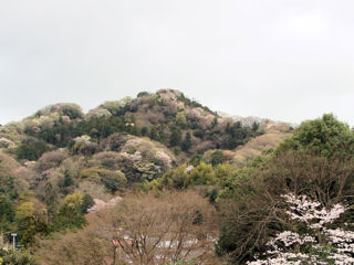 衣張山