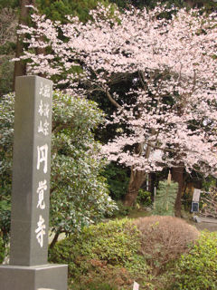 入口