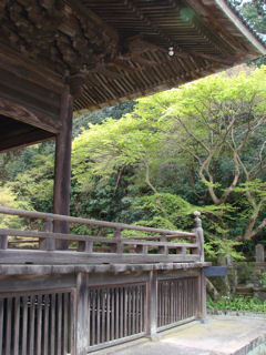 妙本寺