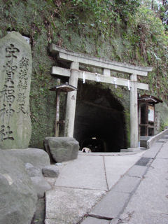 銭洗弁財天・宇賀福神社へと向かう道