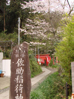 赤い鳥居がつづく