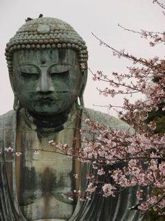 鎌倉大仏