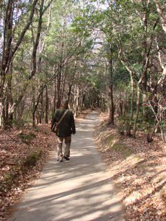 伏見稲荷から東福寺への山道