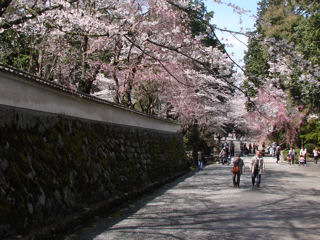 三井寺