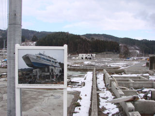 はまゆりが乗った民宿