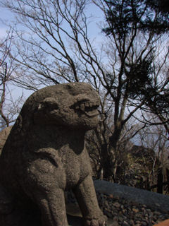男体山山頂神社・狛犬