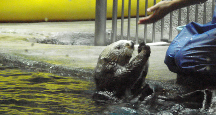 須磨海浜水族園