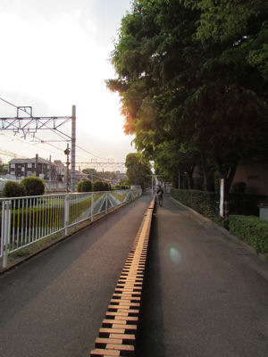 あかね通り